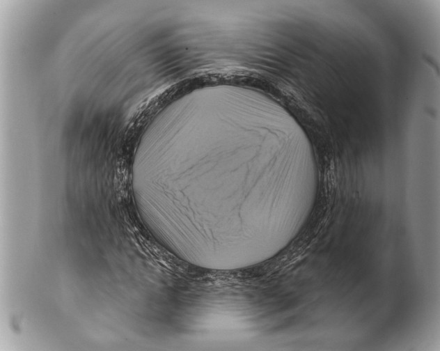 X0000101160822200807251109