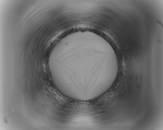 X0000101160823200807251109