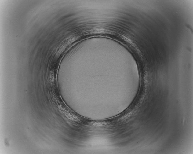 X0000101160825200807251109