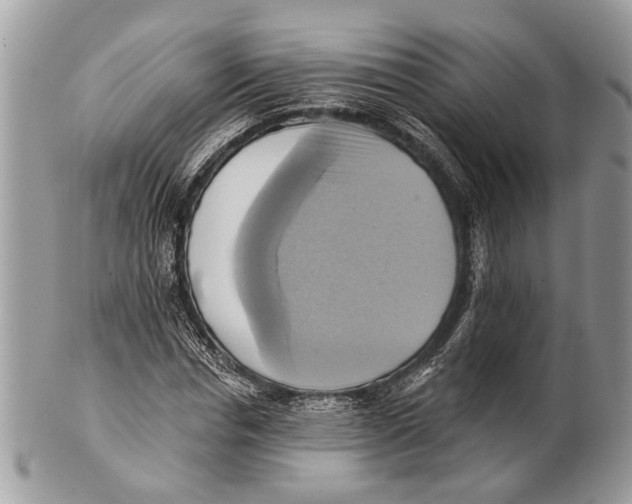 X0000101160826200807251109