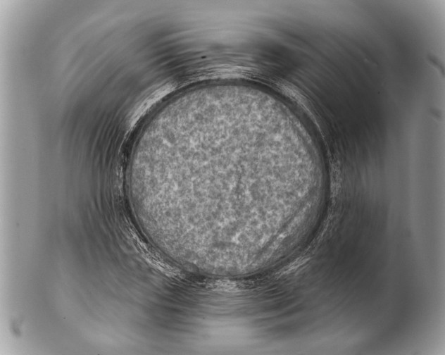 X0000101160827200807251109