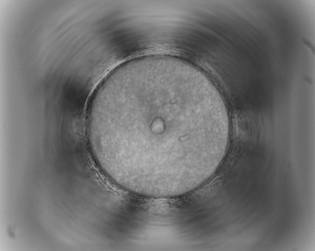 X0000101160828200807251109