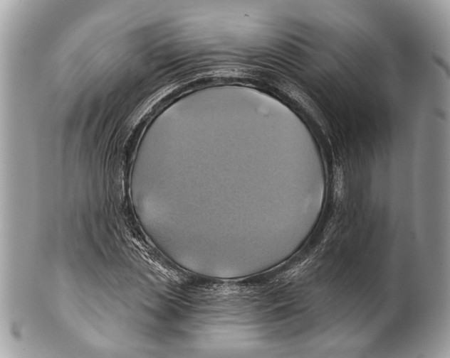 X0000101160829200807251109