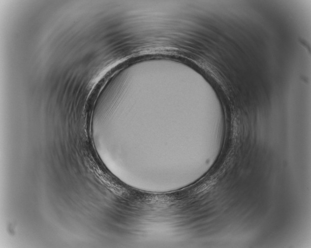 X0000101160830200807251109