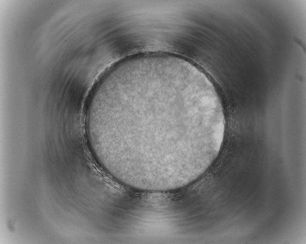 X0000101160832200807251109