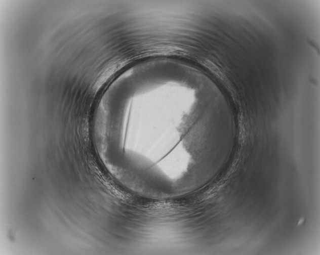 X0000101160834200807251109