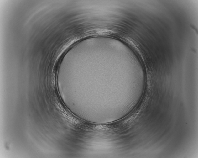 X0000101160835200807251109