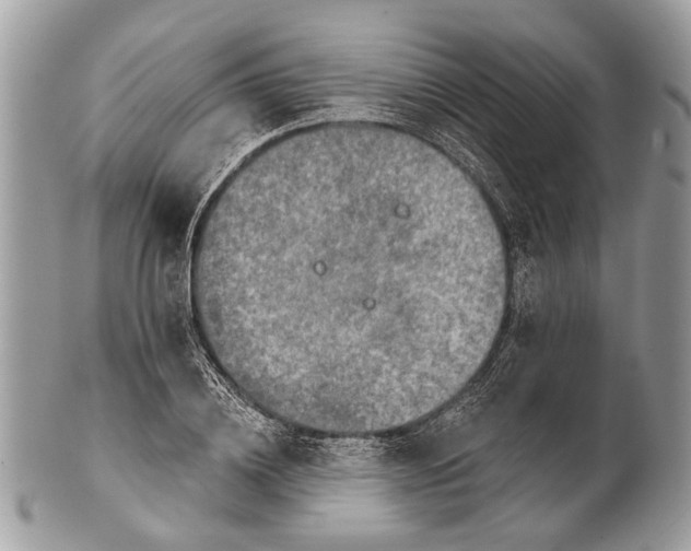 X0000101160836200807251109