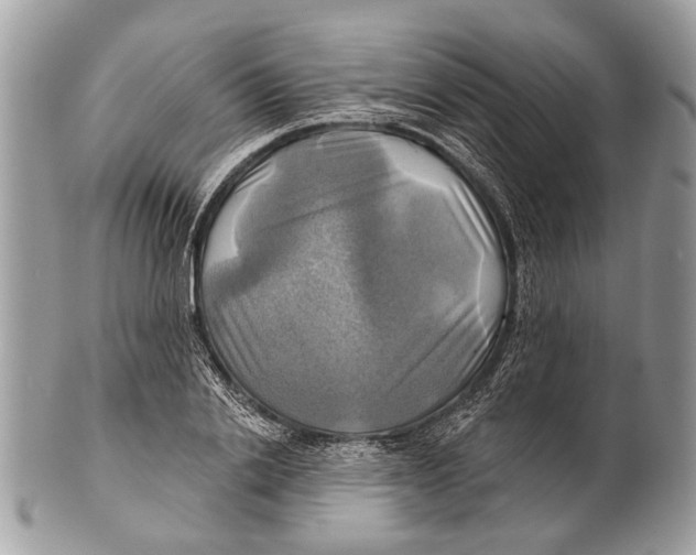 X0000101160838200807251109