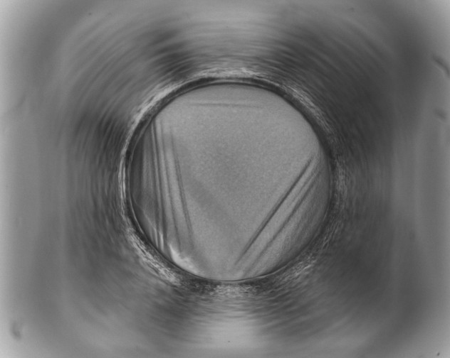 X0000101160840200807251109