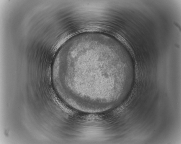 X0000101160842200807251109