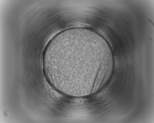 X0000101160843200807251109