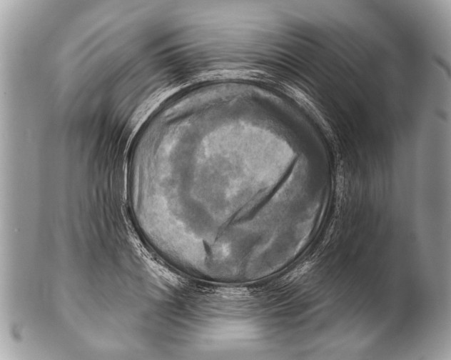 X0000101160844200807251109