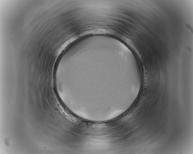X0000101160845200807251109