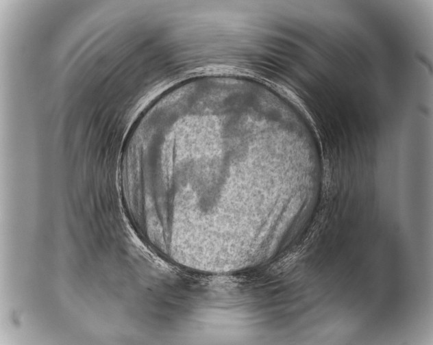 X0000101160847200807251109
