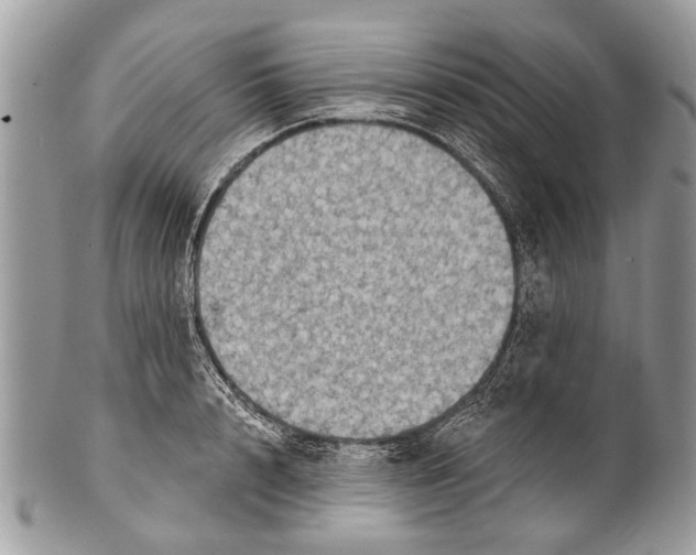 X0000101160848200807251109