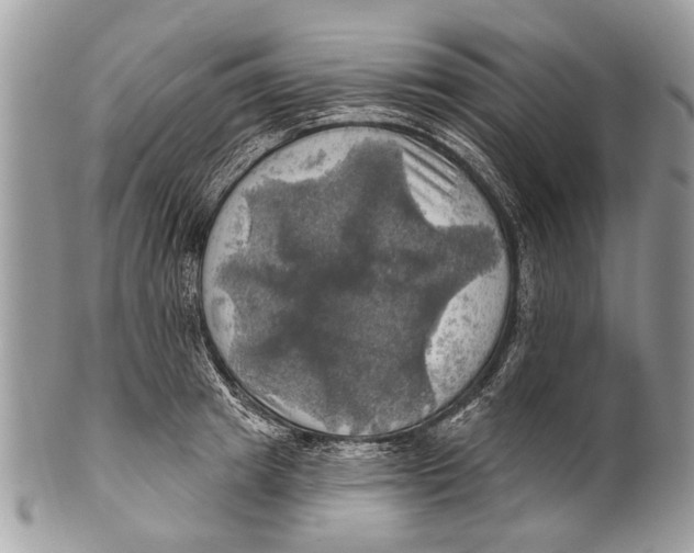 X0000101160849200807251109