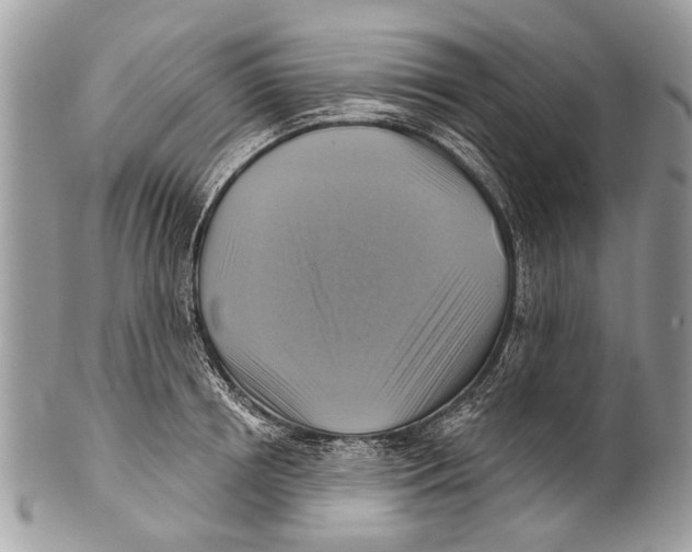 X0000101160850200807251109