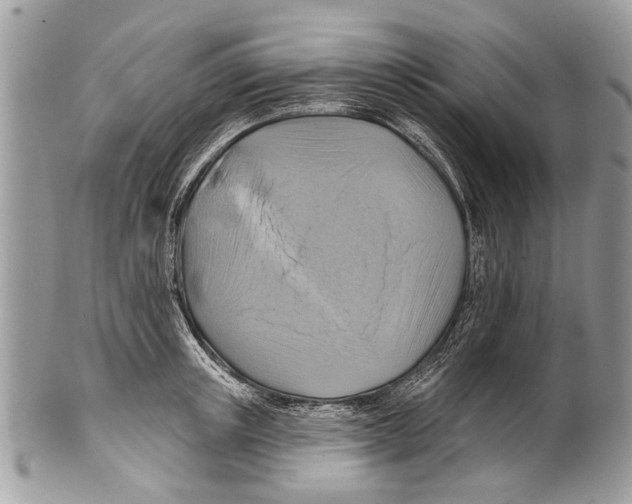 X0000101160851200807251109