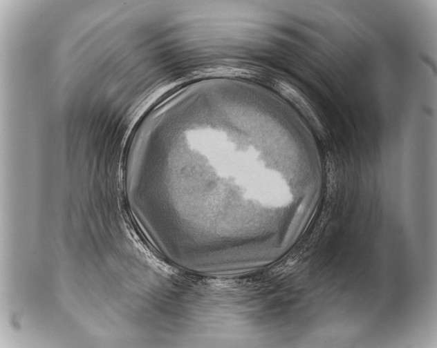 X0000101160852200807251109