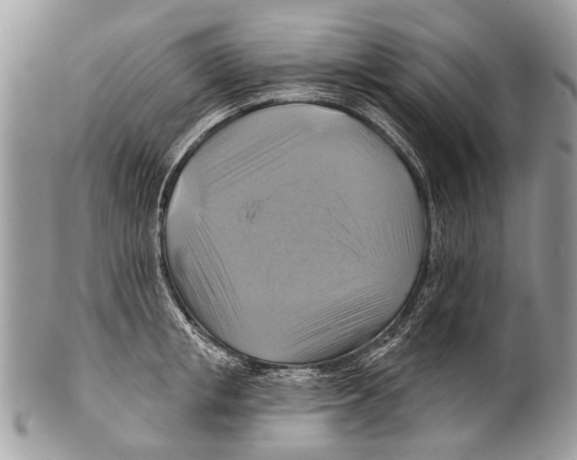 X0000101160853200807251109