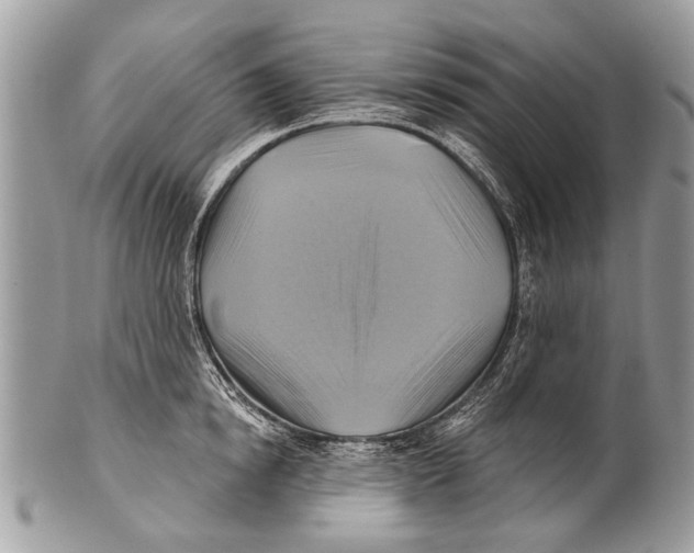 X0000101160854200807251109