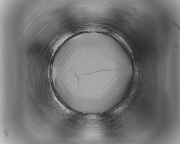 X0000101160855200807251109