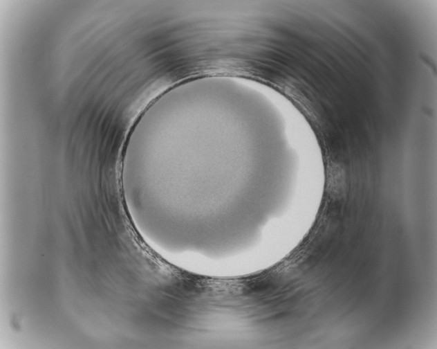 X0000101160856200807251109