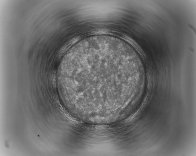 X0000101160857200807251109