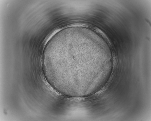 X0000101160860200807251109