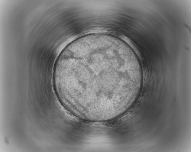 X0000101160861200807251109
