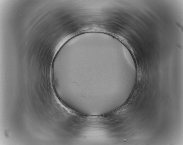 X0000101160863200807251109