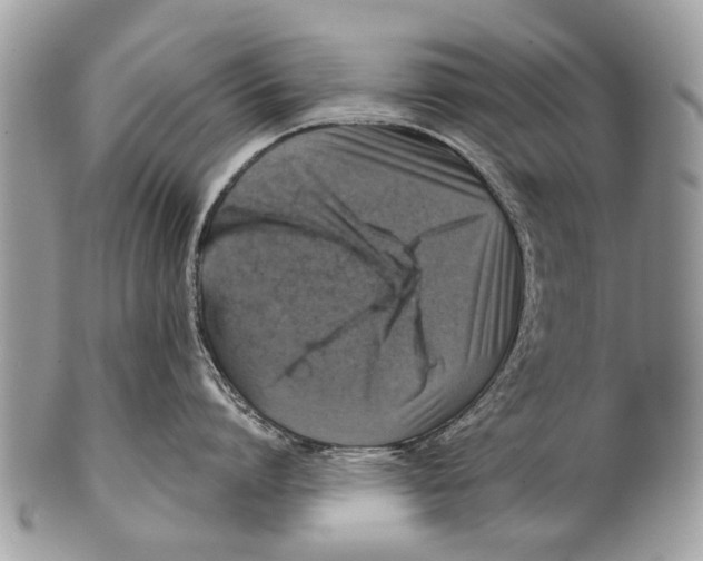 X0000101160864200807251109
