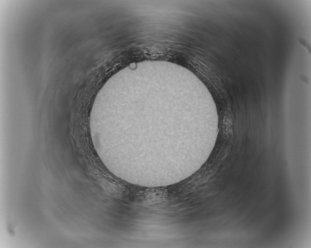 X0000101160865200807251109
