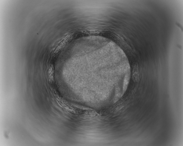 X0000101160866200807251109
