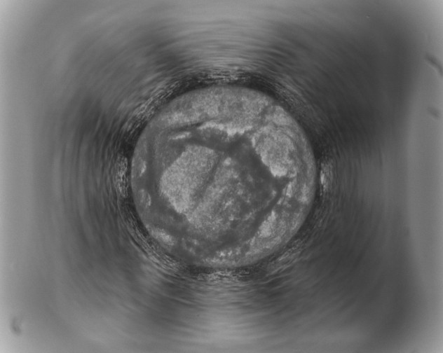 X0000101160867200807251109