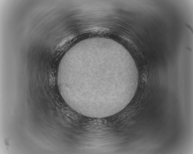 X0000101160869200807251109
