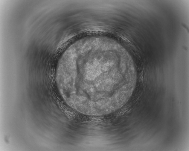 X0000101160870200807251108
