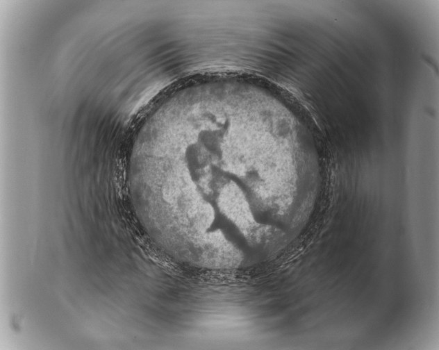 X0000101160871200807251108