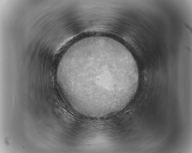 X0000101160872200807251108