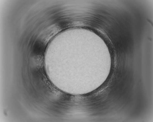 X0000101160873200807251108