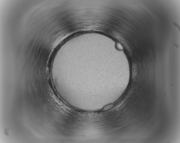 X0000101160876200807251108