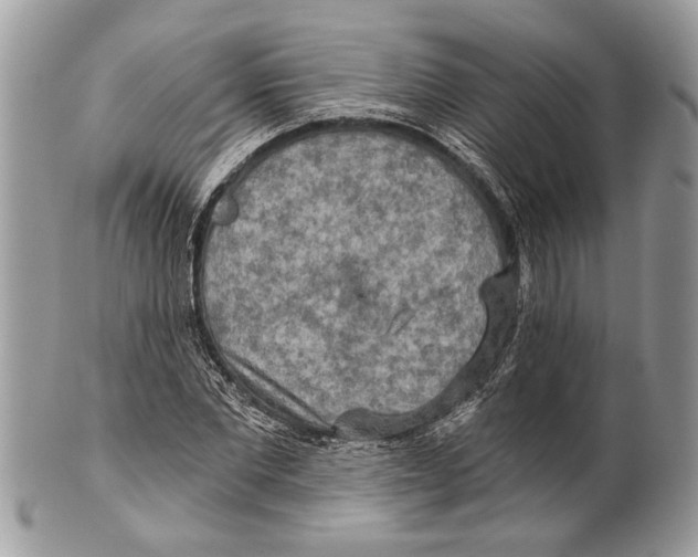X0000101160877200807251108