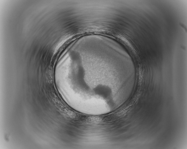 X0000101160878200807251108