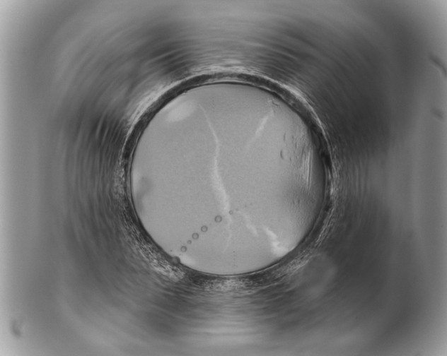 X0000101160879200807251108