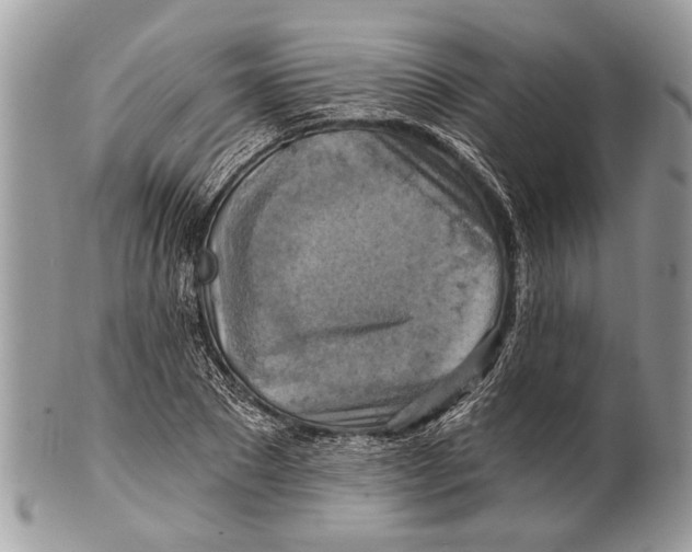 X0000101160881200807251108