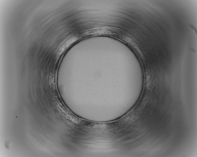 X0000101160882200807251108