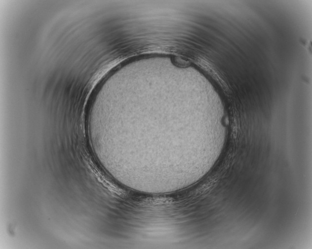 X0000101160884200807251108
