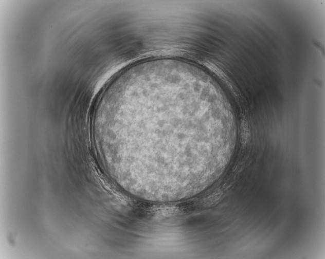 X0000101160886200807251108
