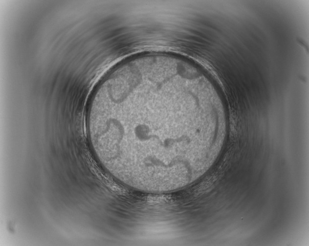 X0000101160887200807251108